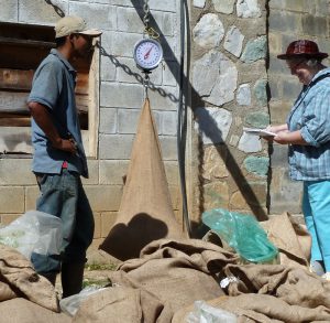 Weighing and logging the dry beans